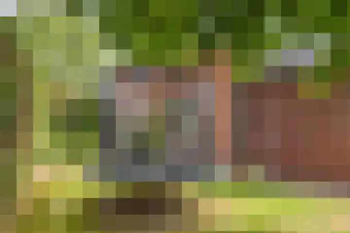 Morgenstraat 28 Erp thumbnail 35
