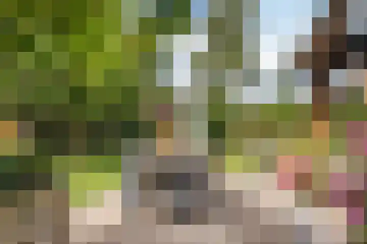 Morgenstraat 28 Erp thumbnail 36