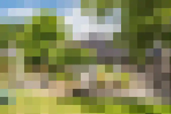 Morgenstraat 28 Erp thumbnail 37