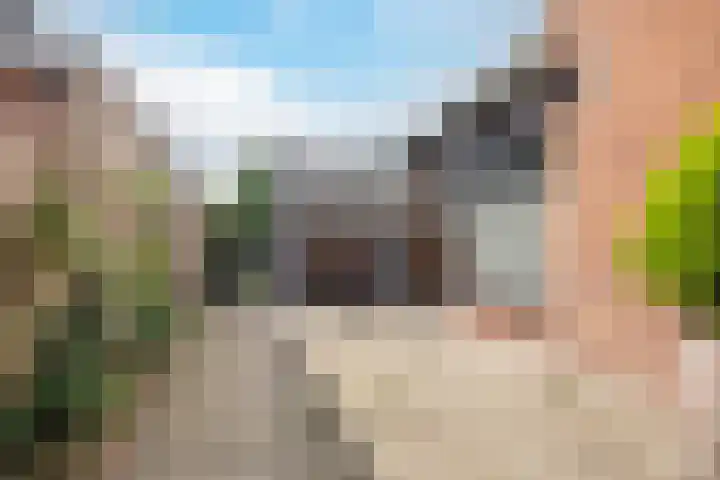 Morgenstraat 28 Erp thumbnail 39
