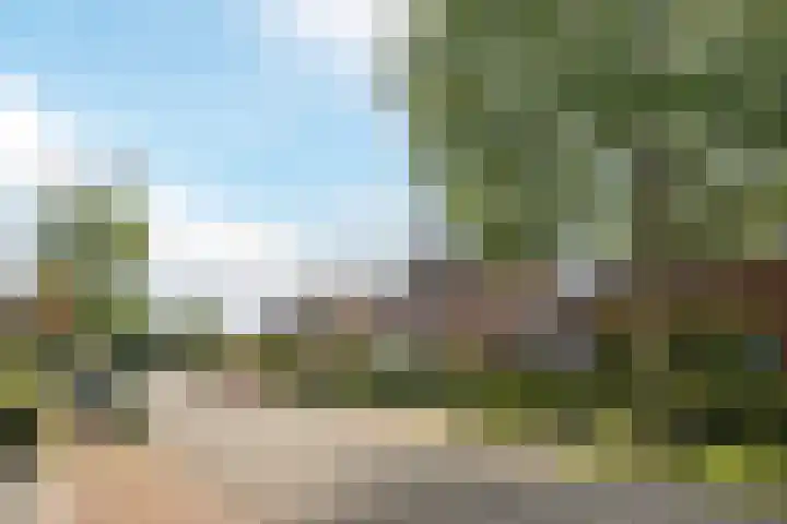 Morgenstraat 28 Erp thumbnail 41