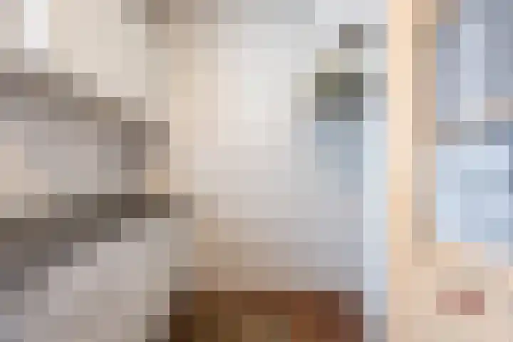 Morgenstraat 35 Erp thumbnail 13