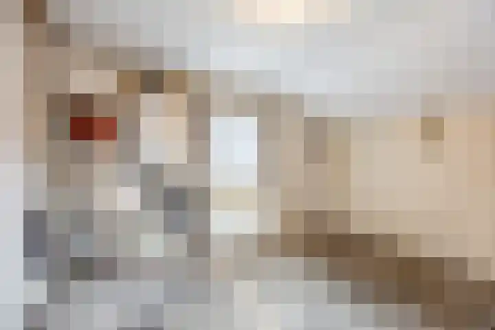 Morgenstraat 35 Erp thumbnail 14