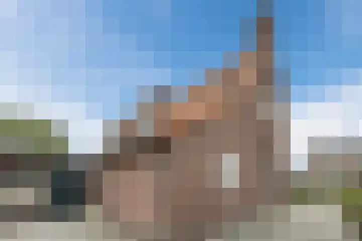 Morgenstraat 35 Erp thumbnail 29