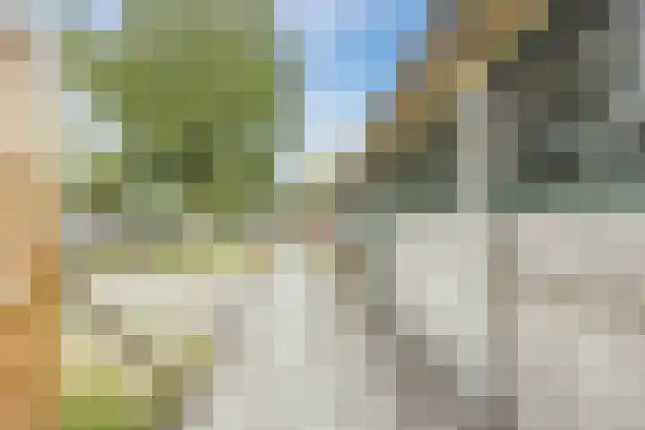 Morgenstraat 35 Erp thumbnail 34
