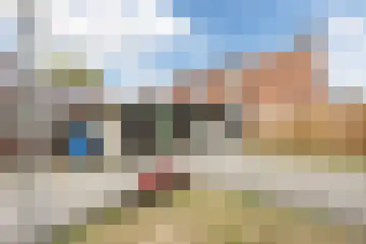 Morgenstraat 35 Erp thumbnail 35