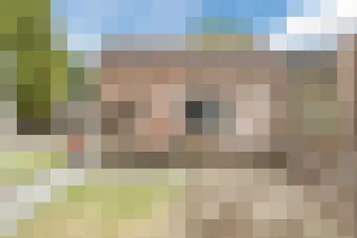 Morgenstraat 35 Erp thumbnail 39