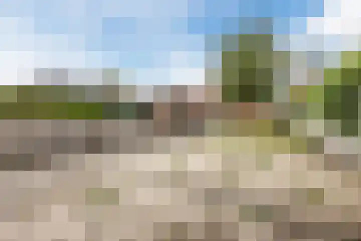 Morgenstraat 35 Erp thumbnail 40