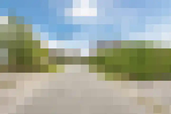 Morgenstraat 35 Erp thumbnail 43