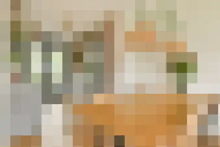 Morgenstraat 35 Erp thumbnail 44