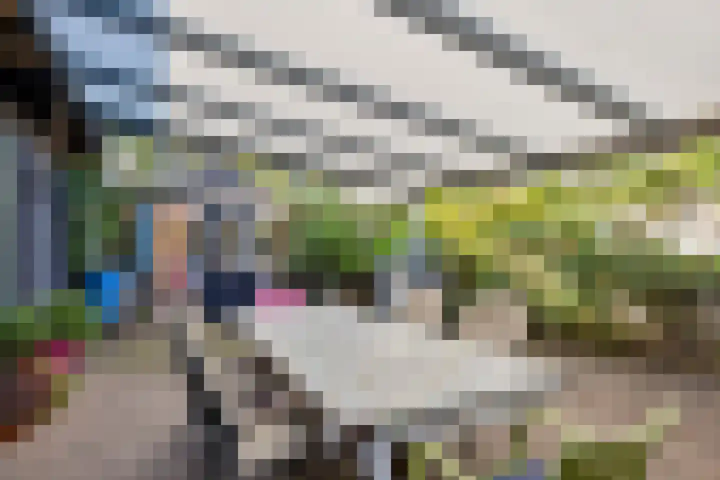 Morgenstraat 43 Erp thumbnail 41