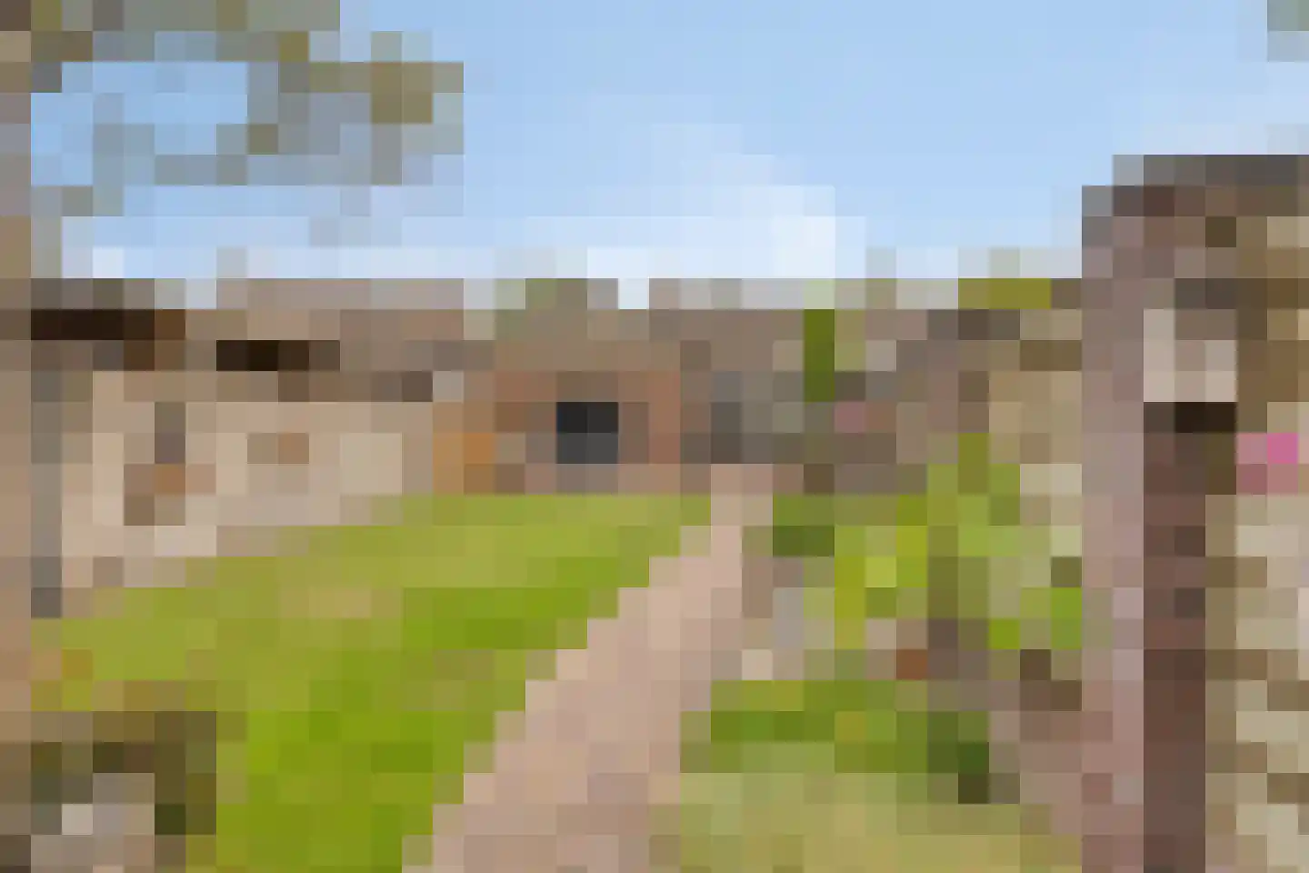Morgenstraat 46 Erp thumbnail 30