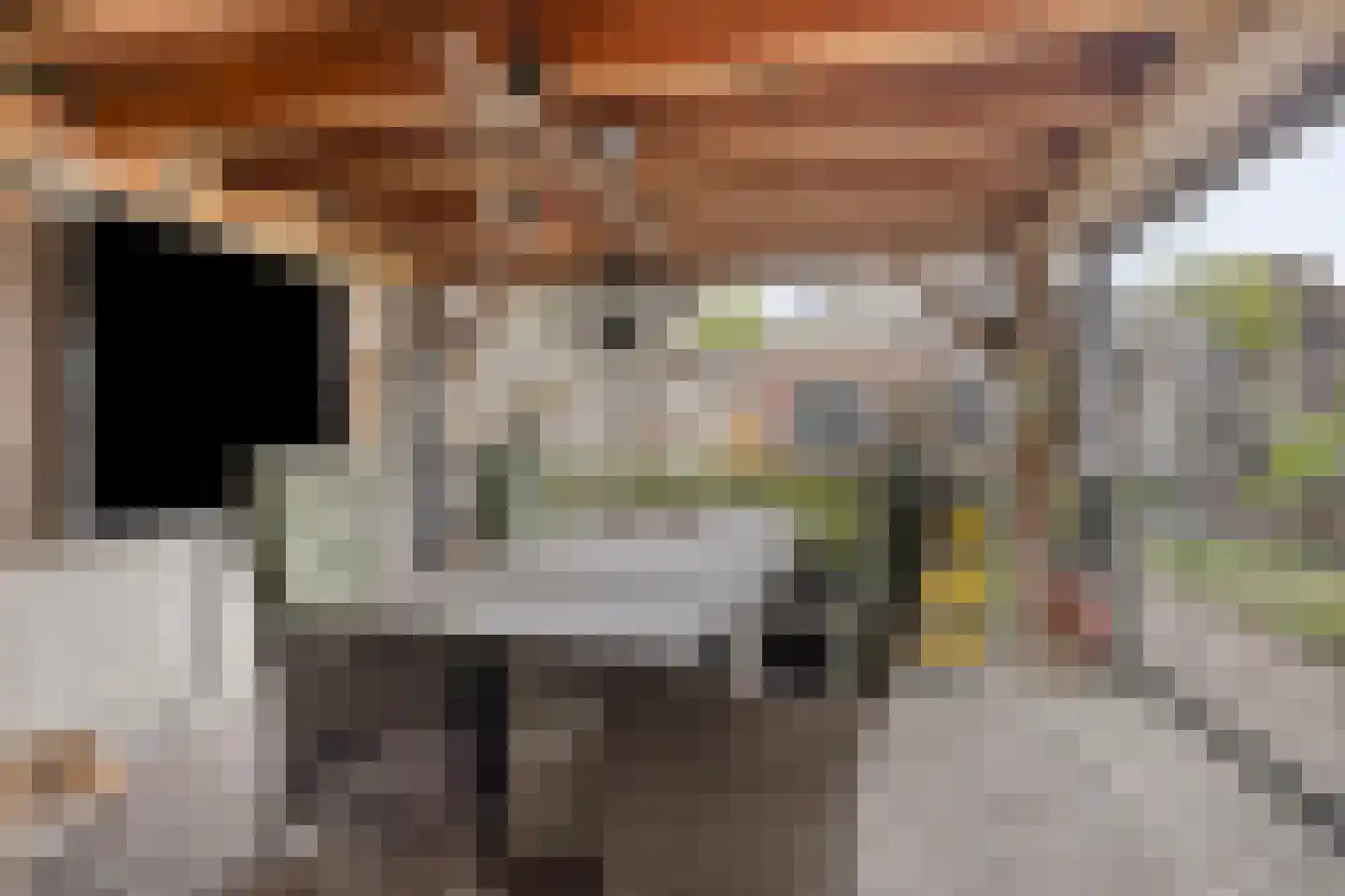 Morgenstraat 46 Erp thumbnail 34