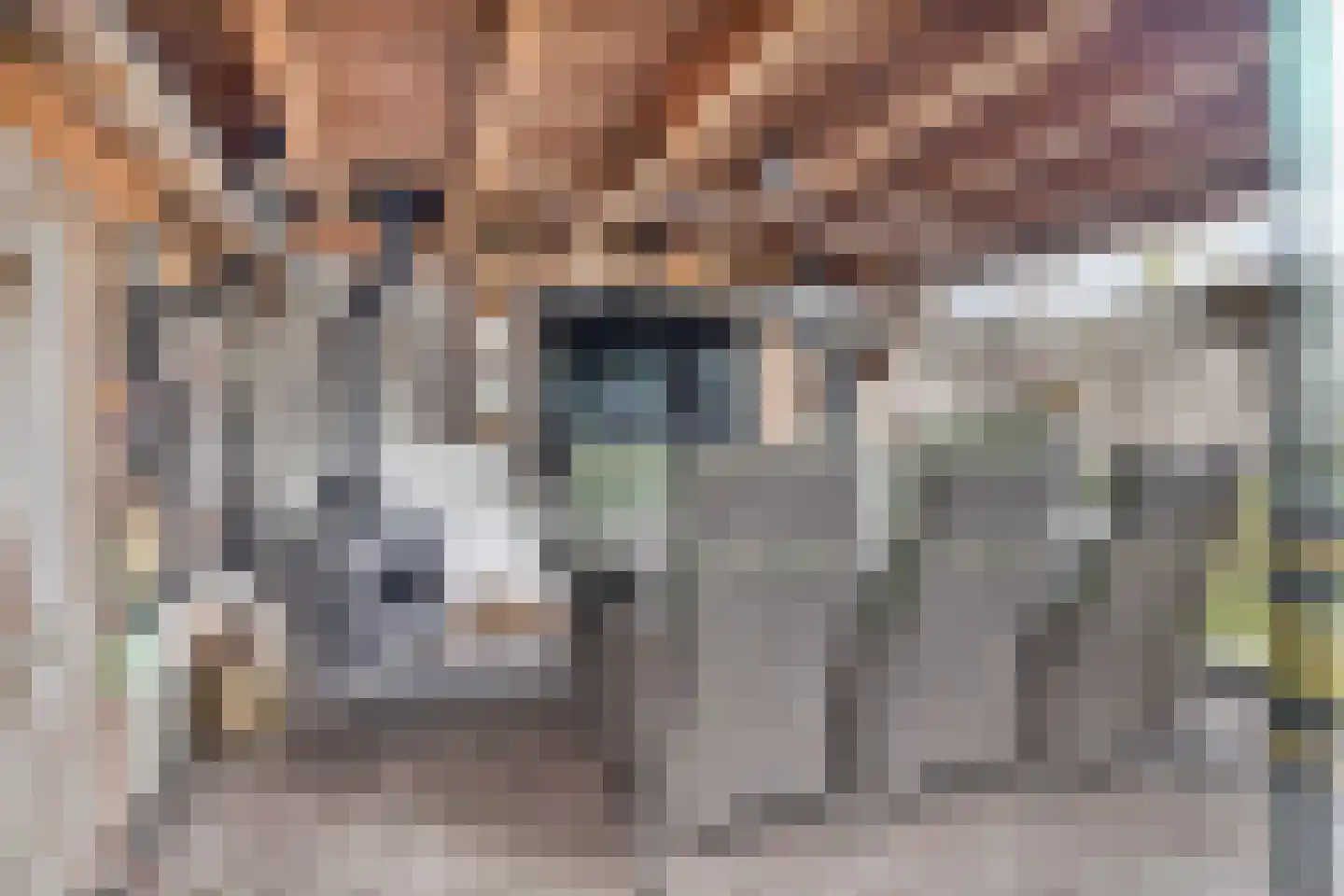 Morgenstraat 46 Erp thumbnail 35