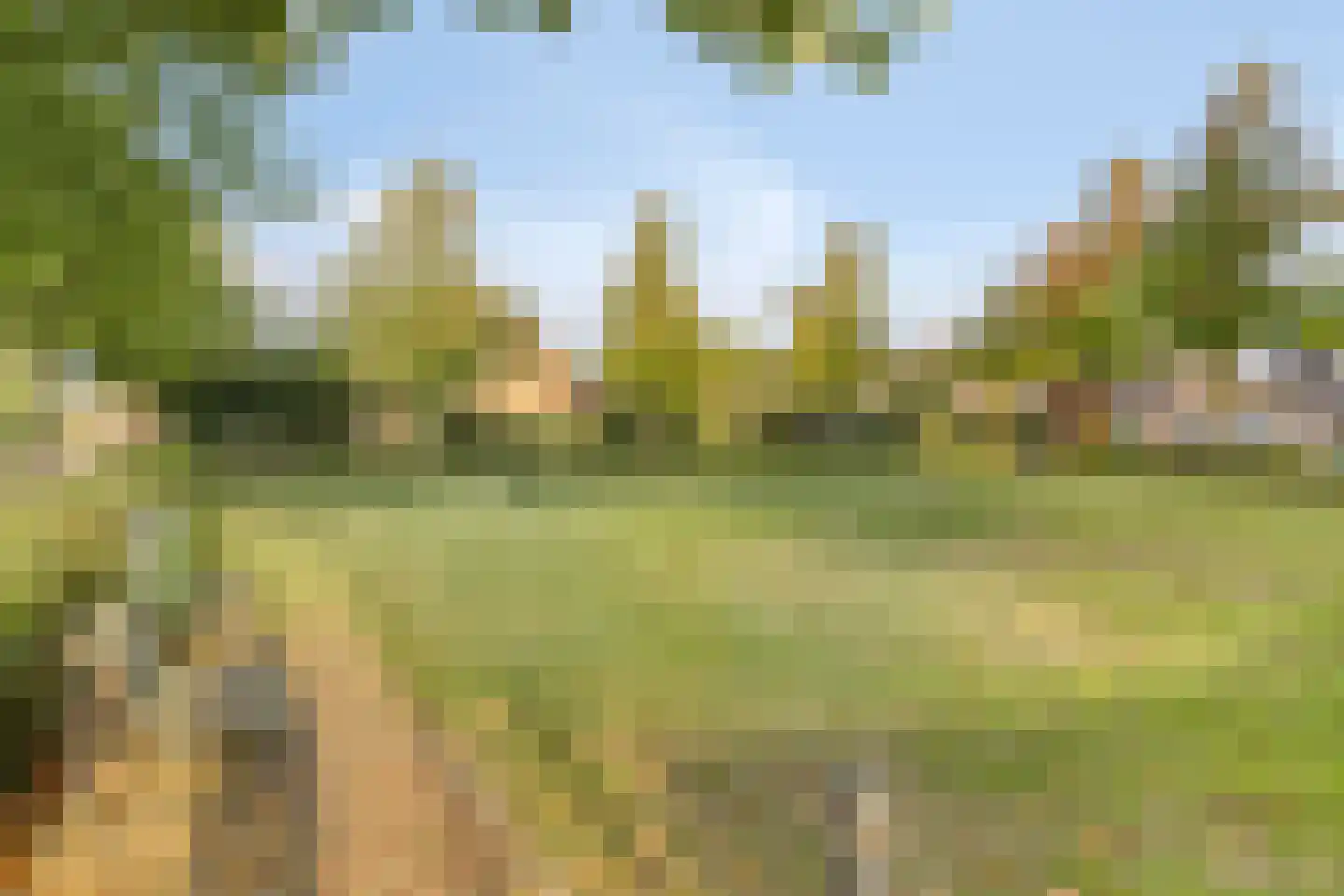 Morgenstraat 46 Erp thumbnail 42