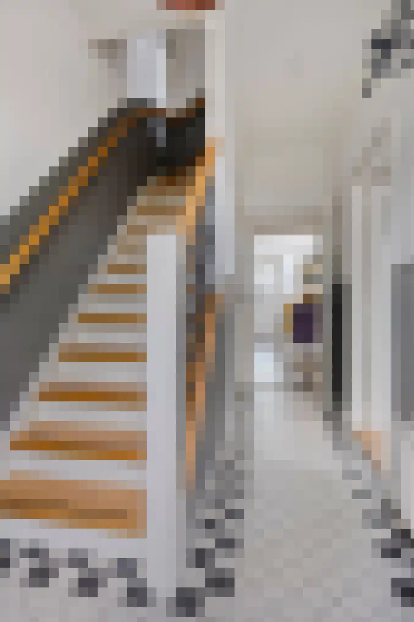 Morgenstraat 46 Erp thumbnail 6