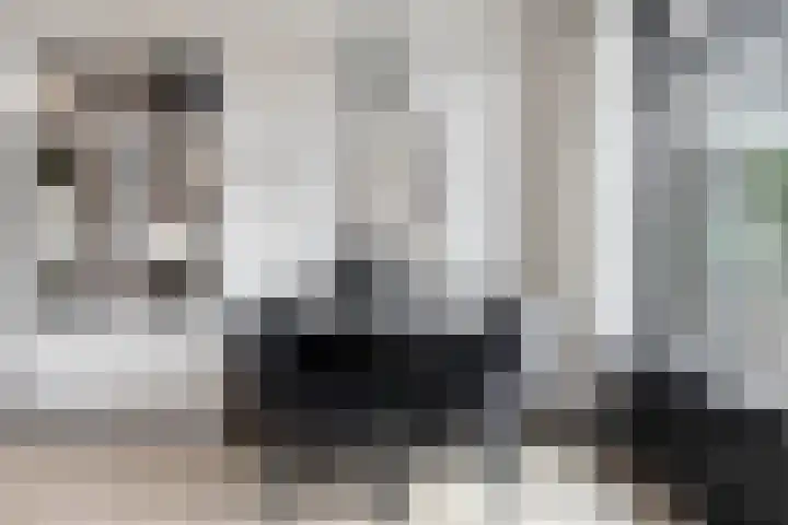 Morgental 12 Krimpen aan den IJssel thumbnail 10