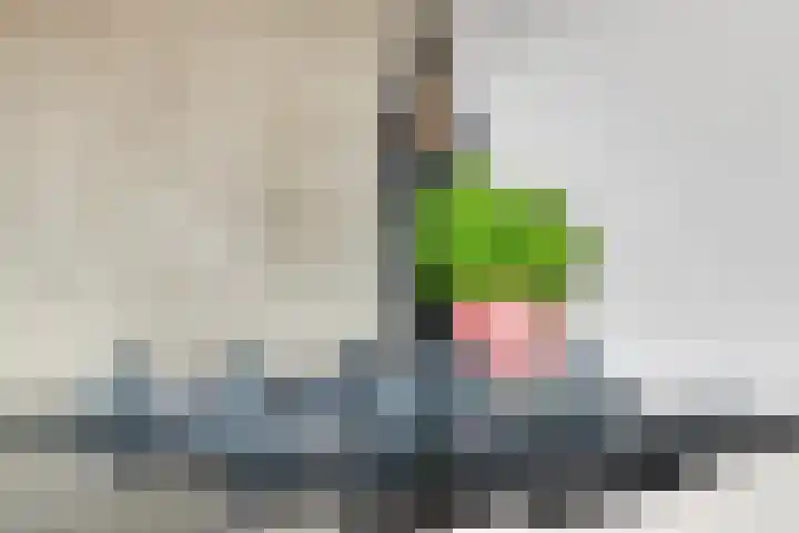 Morgental 12 Krimpen aan den IJssel thumbnail 14