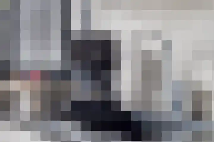 Morgental 12 Krimpen aan den IJssel thumbnail 15