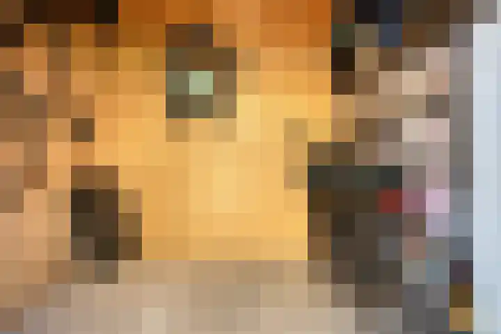 Morgental 12 Krimpen aan den IJssel thumbnail 27