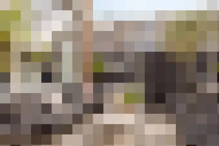 Morgental 12 Krimpen aan den IJssel thumbnail 28