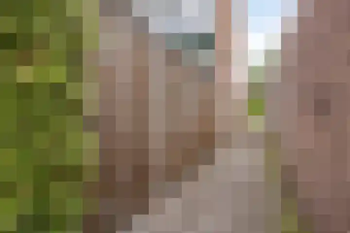 Morgental 12 Krimpen aan den IJssel thumbnail 36