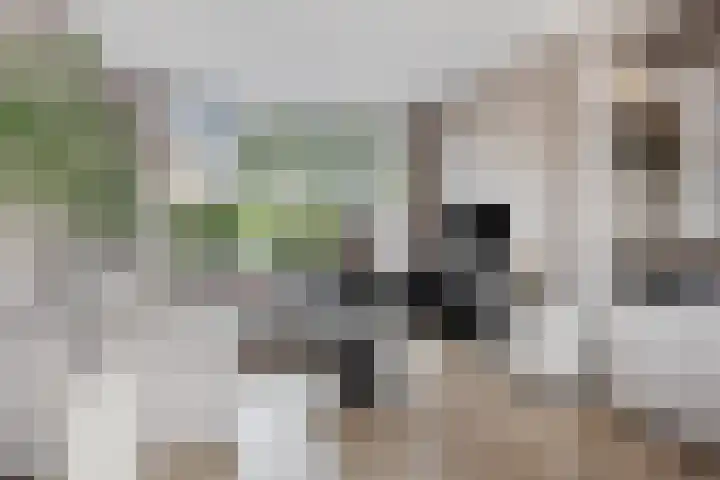 Morgental 12 Krimpen aan den IJssel thumbnail 8