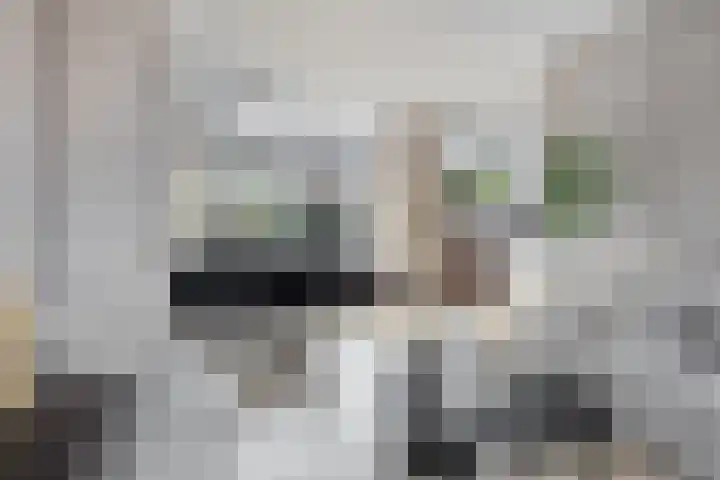 Morgental 12 Krimpen aan den IJssel thumbnail 9