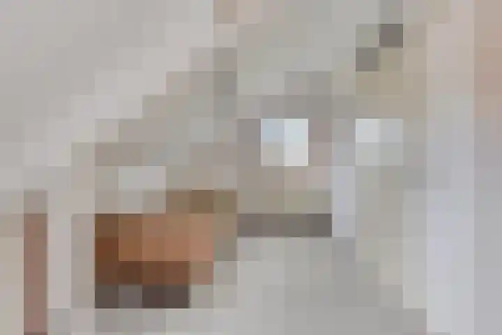 Morgental 3 Zaltbommel thumbnail 20