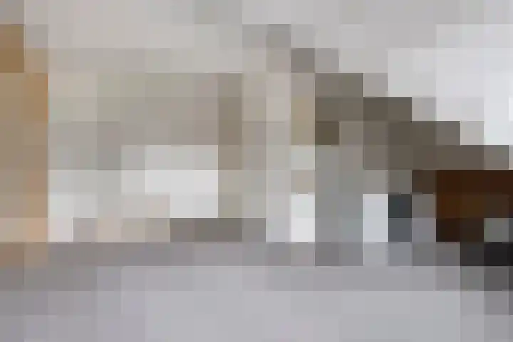 Morgental 3 Zaltbommel thumbnail 22
