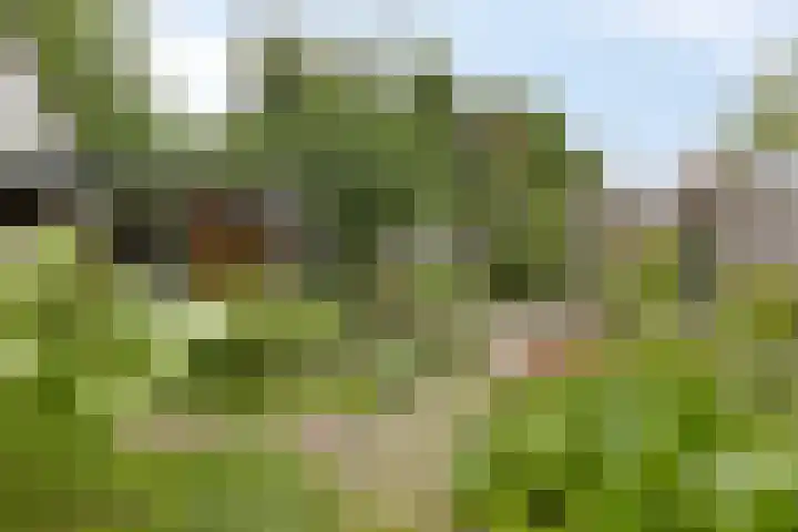 Morgental 3 Zaltbommel thumbnail 24