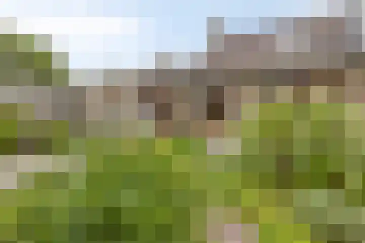 Morgental 3 Zaltbommel thumbnail 28
