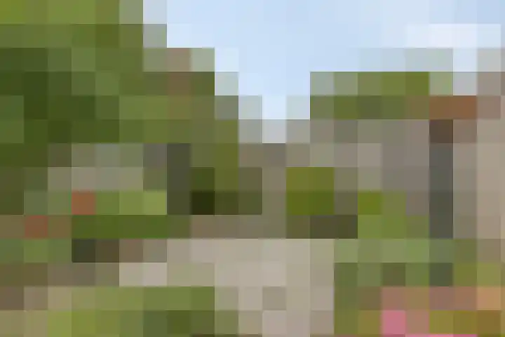 Morgental 3 Zaltbommel thumbnail 30