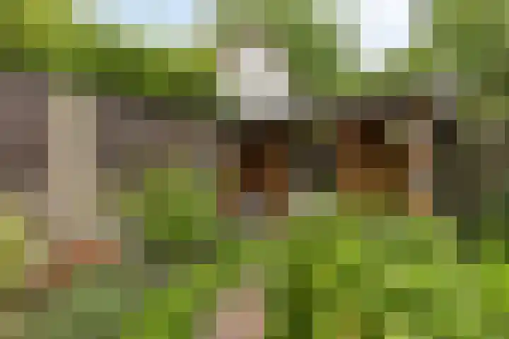 Morgental 3 Zaltbommel thumbnail 31