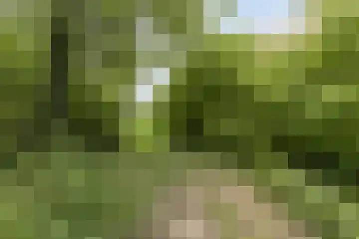 Morgental 3 Zaltbommel thumbnail 33