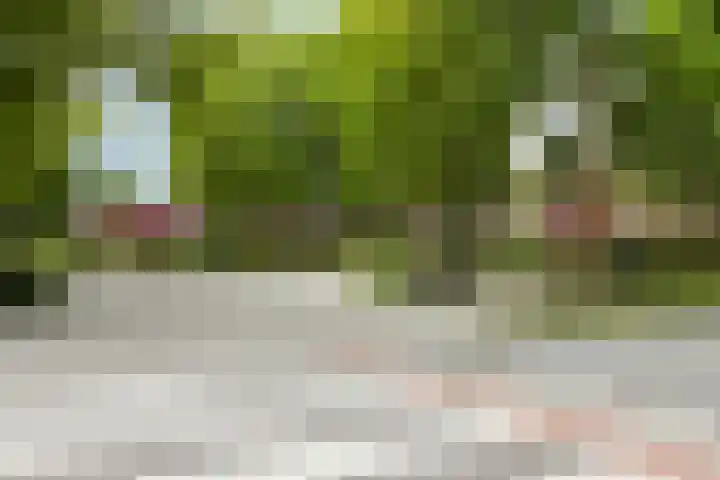 Morgental 3 Zaltbommel thumbnail 34