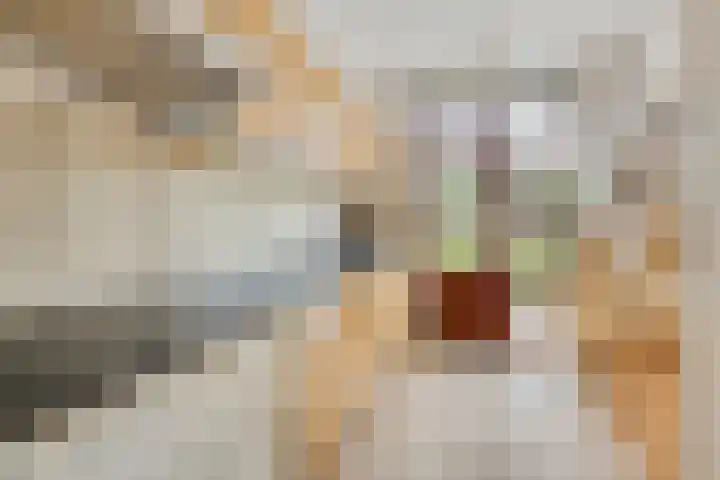 Morgental 3 Zaltbommel thumbnail 9