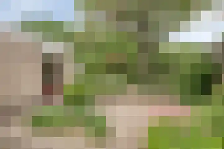 Morgental 5 Zaltbommel thumbnail 24