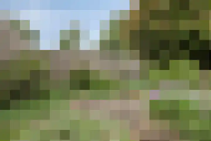 Morgental 5 Zaltbommel thumbnail 25
