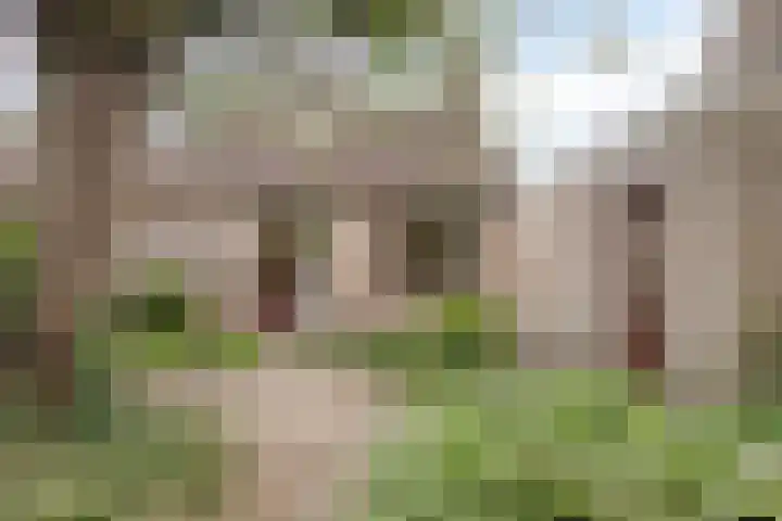 Morgental 5 Zaltbommel thumbnail 26