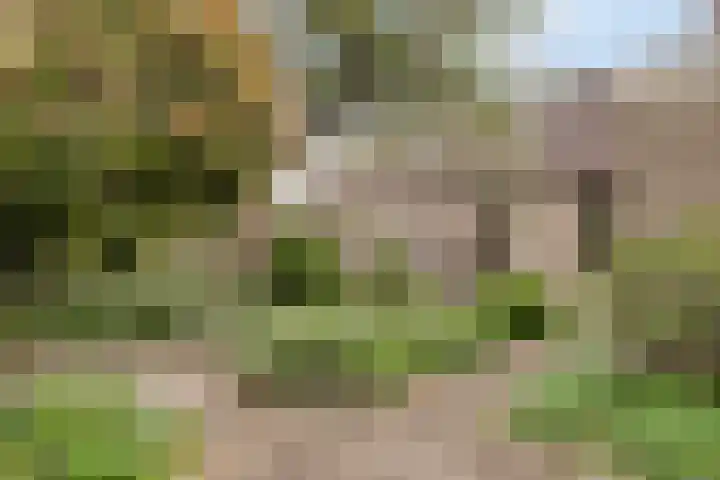 Morgental 5 Zaltbommel thumbnail 27
