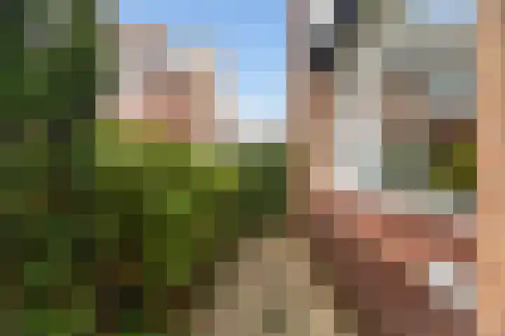 Morgental 61 Krimpen aan den IJssel thumbnail 10