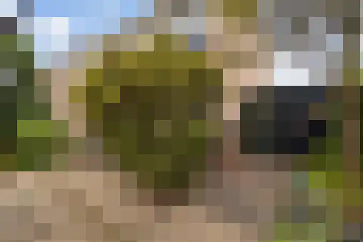 Morgental 61 Krimpen aan den IJssel thumbnail 14