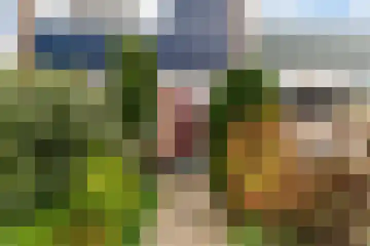 Morgental 61 Krimpen aan den IJssel thumbnail 34