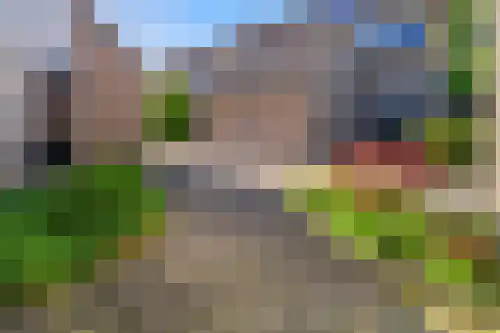 Morgentale 12 Maasland thumbnail 10