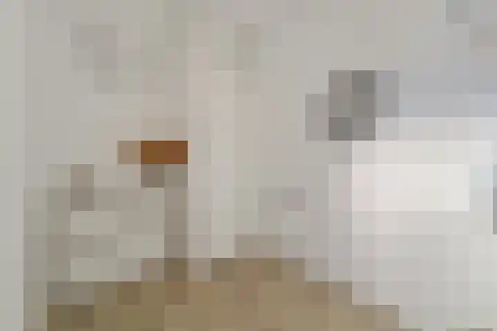 Morgentale 12 Maasland thumbnail 11