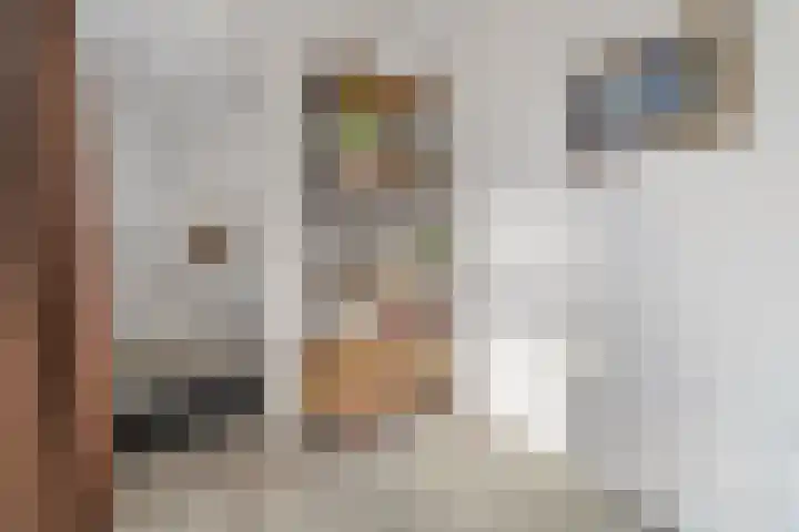 Morgentale 12 Maasland thumbnail 13