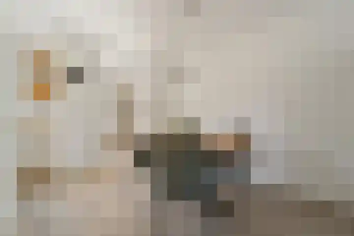 Morgentale 12 Maasland thumbnail 14