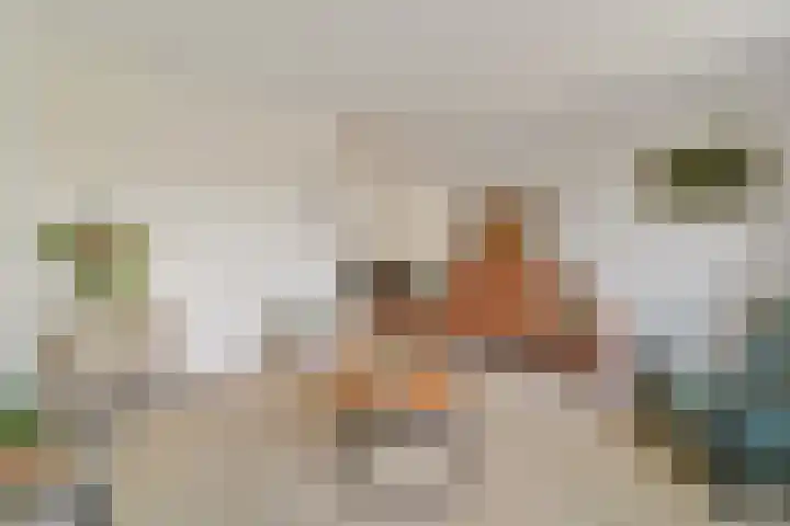 Morgentale 12 Maasland thumbnail 15