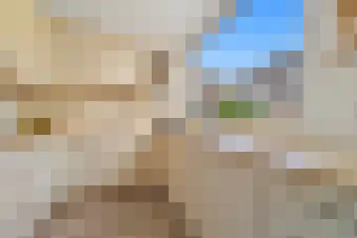 Morgentale 12 Maasland thumbnail 16